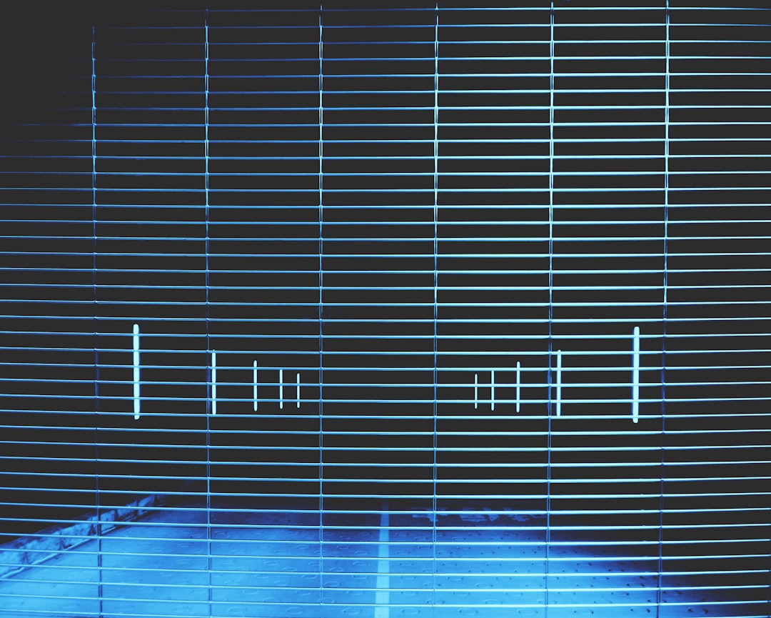 Restaurantes y bares que apuestan por pantallas LED en escaparates en Barcelona y Madrid